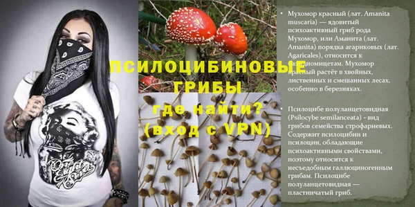 ГАЛЛЮЦИНОГЕННЫЕ ГРИБЫ Алзамай