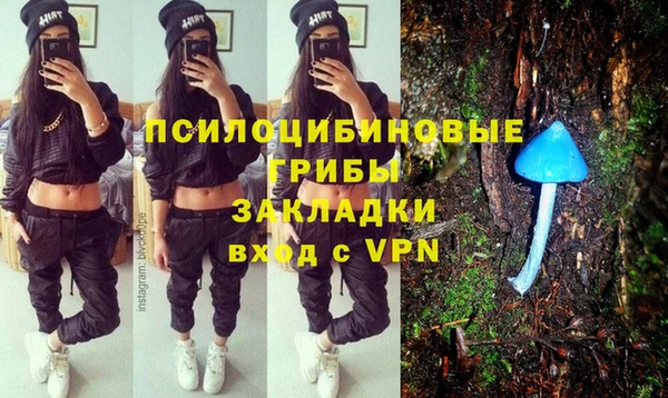 ГАЛЛЮЦИНОГЕННЫЕ ГРИБЫ Алзамай