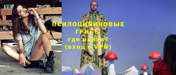 ГАЛЛЮЦИНОГЕННЫЕ ГРИБЫ Алзамай