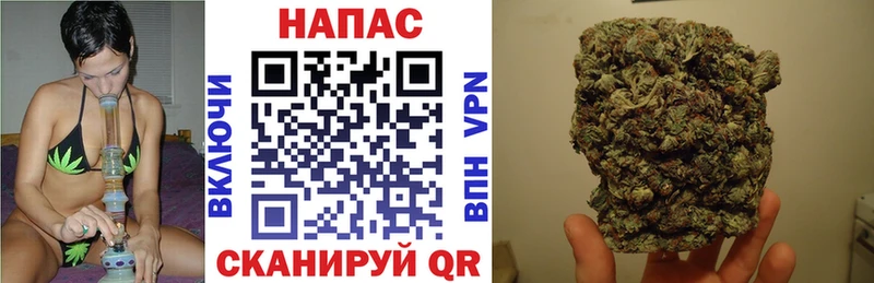 наркотики  blacksprut зеркало  Каннабис THC 21%  Жуковка 